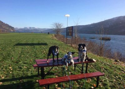 Snoopy at Columbia Gorge Trail Dogs2